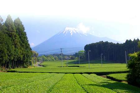 富士山が正式に世界文化遺産